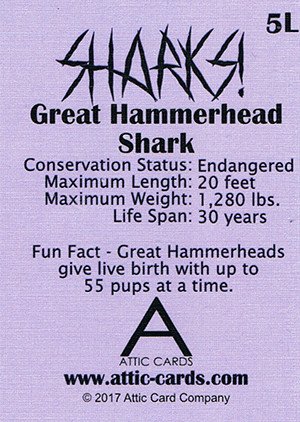 Attic Cards Sharks! Linen Base Card 5L Hammerhead Shark