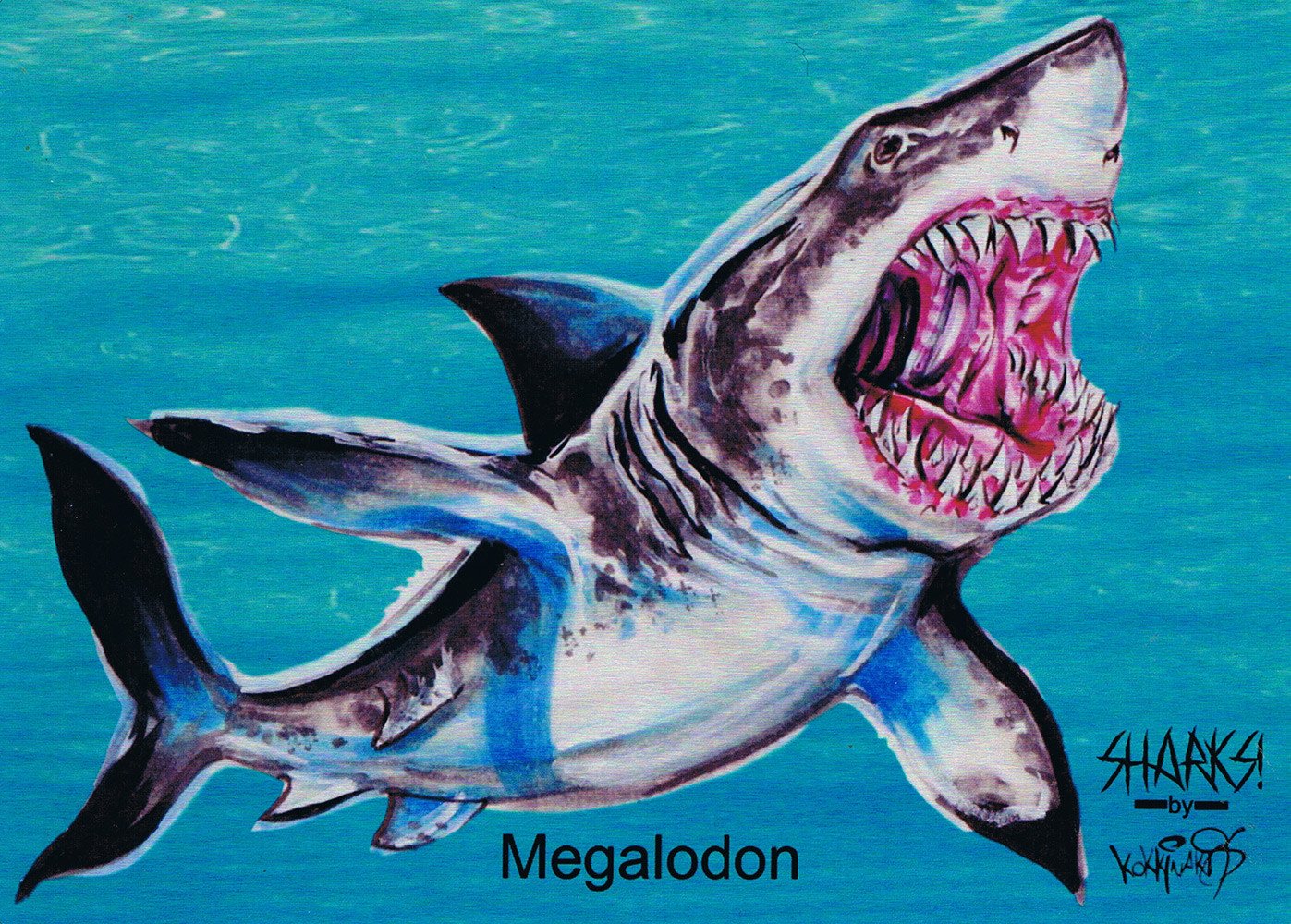 Attic Cards Sharks! Jumbo Metal Card J-1 Megalodon
