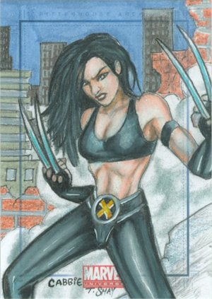 Rittenhouse Archives Marvel Universe Sketch Card  Tim Shay