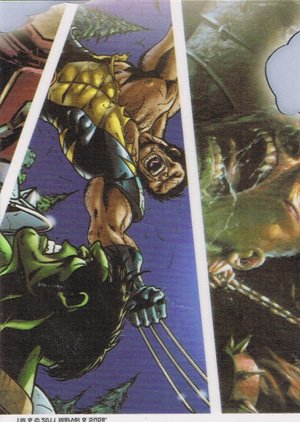 Rittenhouse Archives Marvel Universe Parallel Card 58 World War Hulk