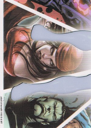 Rittenhouse Archives Marvel Universe Parallel Card 80 Shadowland
