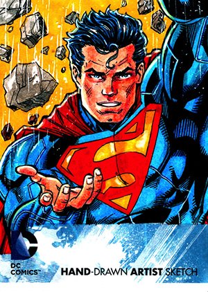 Cryptozoic DC: The New 52 Sketch Card  Aston Roy Cover