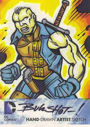 Cryptozoic DC: The New 52 Sketch Card  James 