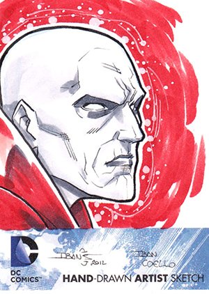 Cryptozoic DC: The New 52 Sketch Card  Iban Coello