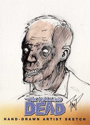 Cryptozoic The Walking Dead Comic Book Series 2 Sketch Card  Martin Pikkaart