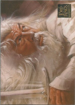 Topps Lord of the Rings Masterpieces II Base Card 10 Wrath of Gandalf