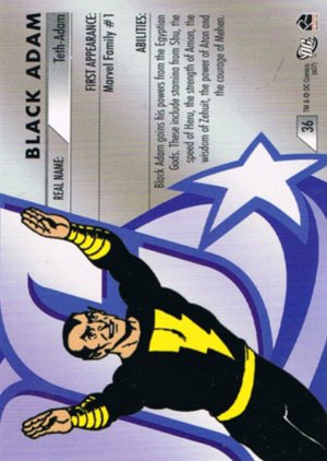 Rittenhouse Archives DC Legacy Base Card 36 Black Adam