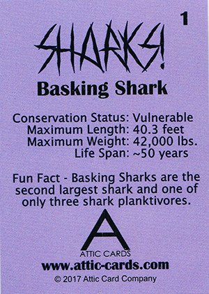 Attic Cards Sharks! Base Card 1 Basking Shark