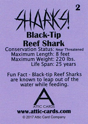 Attic Cards Sharks! Base Card 2 Black Tip Reef Shark
