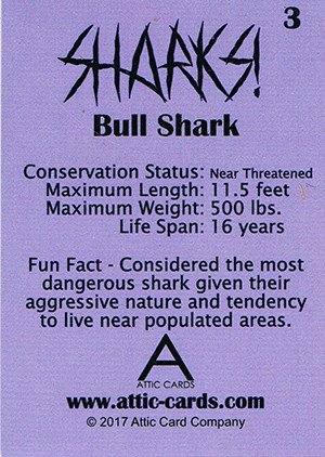 Attic Cards Sharks! Base Card 3 Bull Shark
