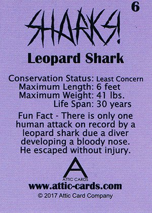 Attic Cards Sharks! Base Card 6 Leopard Shark