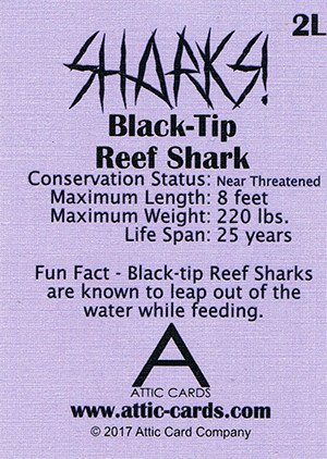 Attic Cards Sharks! Linen Base Card 2L Black Tip Reef Shark