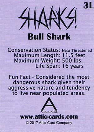 Attic Cards Sharks! Linen Base Card 3L Bull Shark
