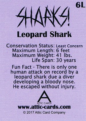 Attic Cards Sharks! Linen Base Card 6L Leopard Shark
