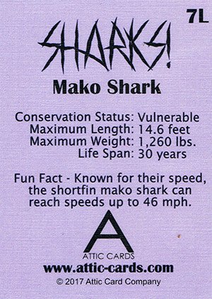 Attic Cards Sharks! Linen Base Card 7L Mako Shark