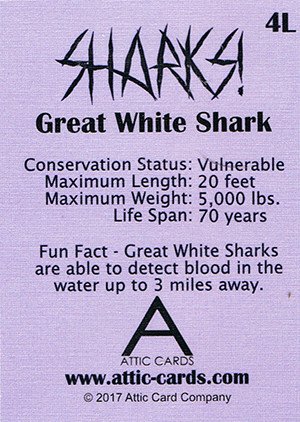 Attic Cards Sharks! Linen Base Card 4L Great White Shark