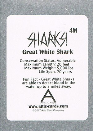 Attic Cards Sharks! Metal Base Card 4M Great White Shark