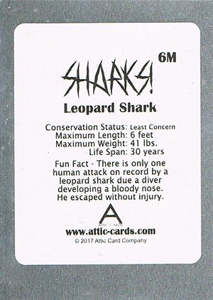 Attic Cards Sharks! Metal Base Card 6M Leopard Shark