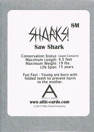 Attic Cards Sharks! Metal Base Card 8M Saw Shark