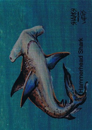 Attic Cards Sharks! Metal Base Card 5M Hammerhead Shark