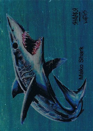Attic Cards Sharks! Metal Base Card 7M Mako Shark