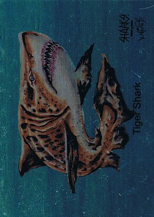Attic Cards Sharks! Metal Base Card 9M Tiger Shark