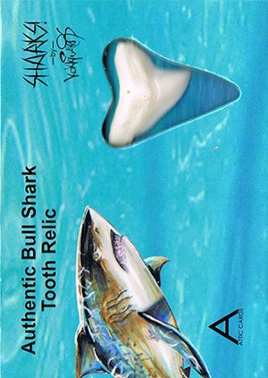 Attic Cards Sharks! Tooth Relic Card T-1 Authentic Bull Shark Tooth Relic