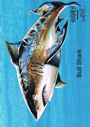 Attic Cards Sharks! Linen Base Card 3L Bull Shark