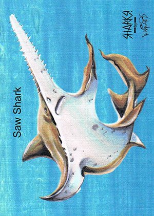 Attic Cards Sharks! Linen Base Card 8L Saw Shark