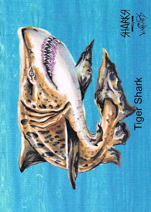 Attic Cards Sharks! Linen Base Card 9L Tiger Shark
