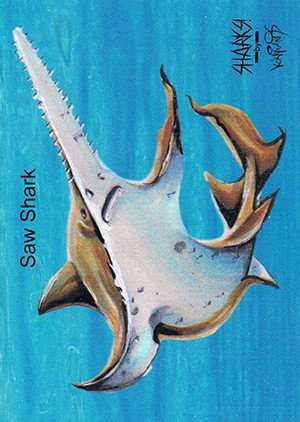 Attic Cards Sharks! Base Card 8 Saw Shark