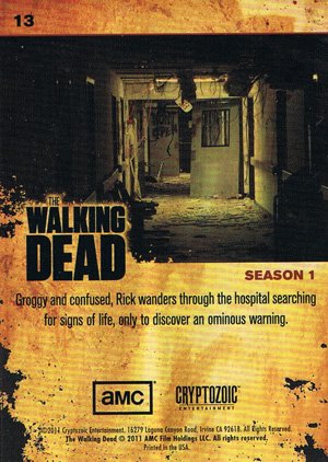 Cryptozoic The Walking Dead Base Card 13 What Happened?