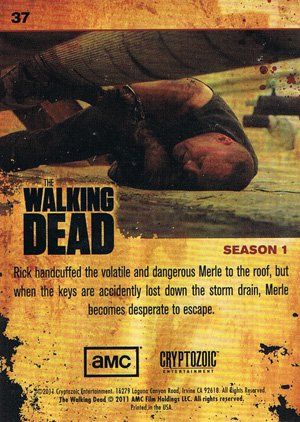 Cryptozoic The Walking Dead Base Card 37 Stranded